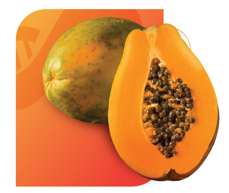 Carigen Papaya Tutifrutti