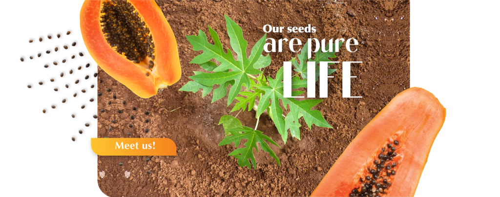 Our Seeds Are Pure Life