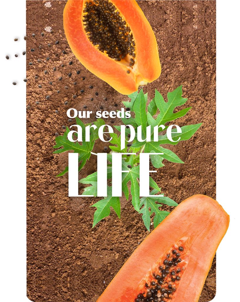 Our Seeds Are Pure Life