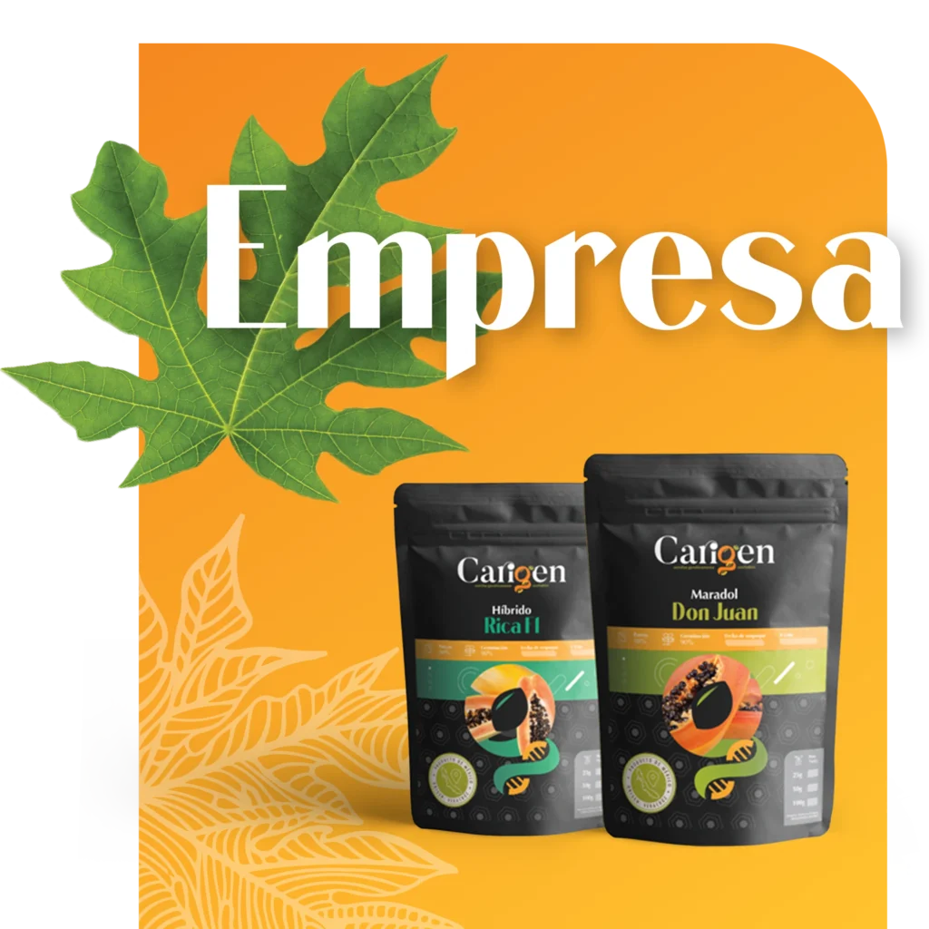 Empresa