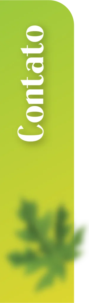 Contato