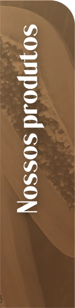 Nossos produtos