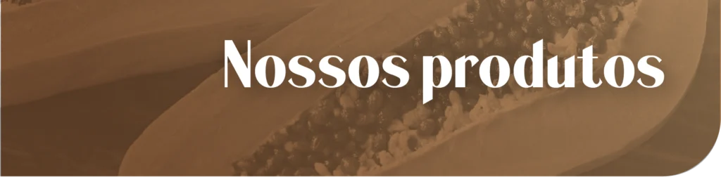 Nossos produtos