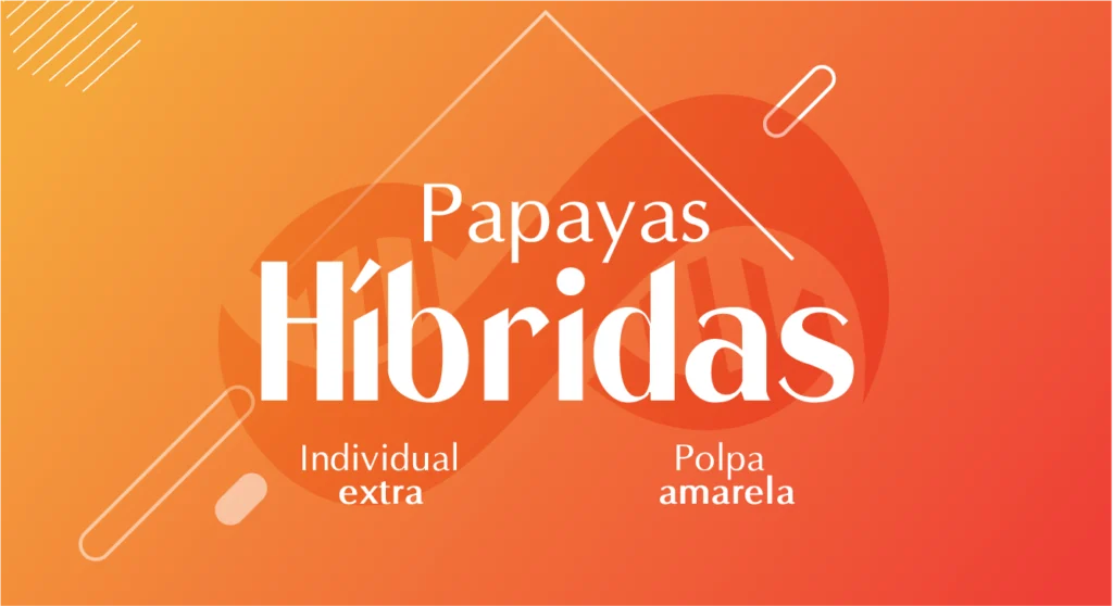 Papayas Híbridas